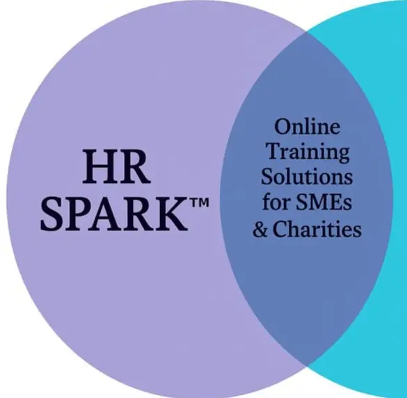 Policy Development at HR SPARK servicing Swindon and Wiltshire